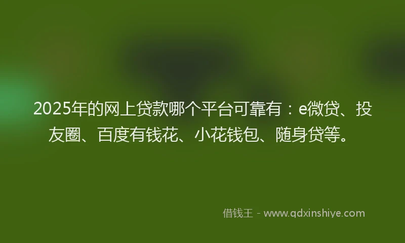 2025年的网上贷款哪个平台可靠有：e微贷、投友圈、百度有钱花、小花钱包、随身贷等。