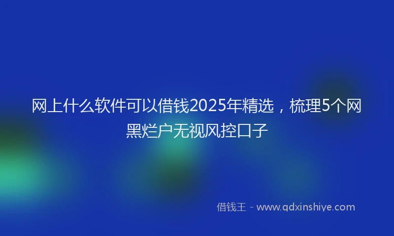 网上什么软件可以借钱2025年精选，梳理5个网黑烂户无视风控口子