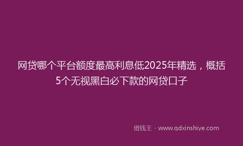 网贷哪个平台额度最高利息低2025年精选，概括5个无视黑白必下款的网贷口子