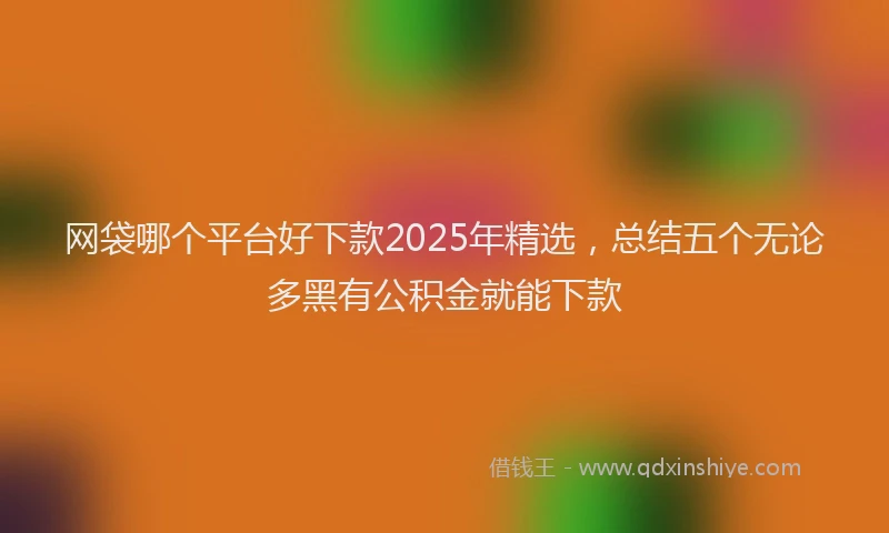 网袋哪个平台好下款2025年精选，总结五个无论多黑有公积金就能下款