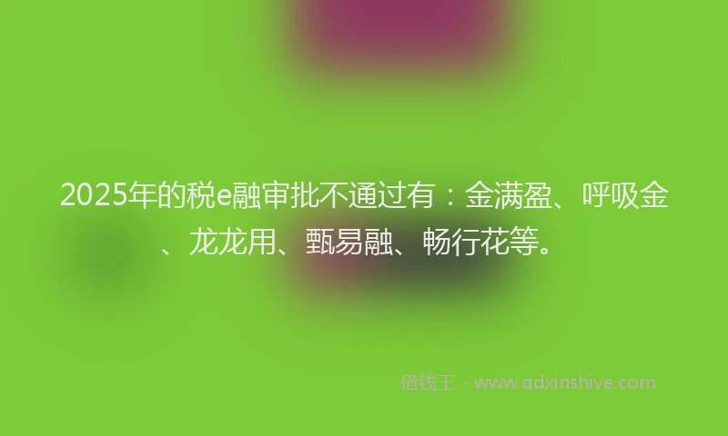 2025年的税e融审批不通过有：金满盈、呼吸金、龙龙用、甄易融、畅行花等。