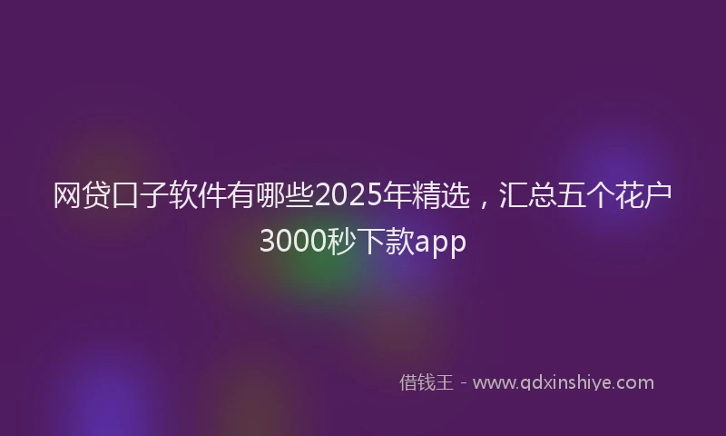 网贷口子软件有哪些2025年精选，汇总五个花户3000秒下款app