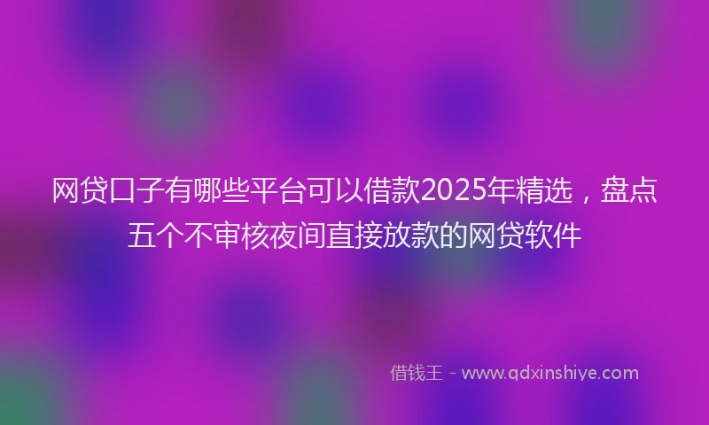 网贷口子有哪些平台可以借款2025年精选，盘点五个不审核夜间直接放款的网贷软件
