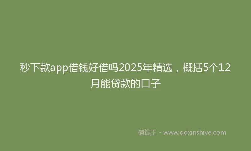 秒下款app借钱好借吗2025年精选，概括5个12月能贷款的口子