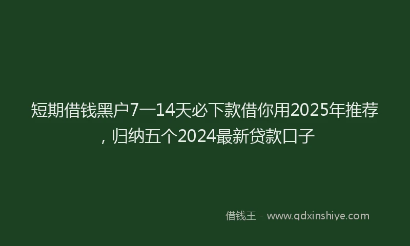 短期借钱黑户7一14天必下款借你用2025年推荐，归纳五个2024最新贷款口子