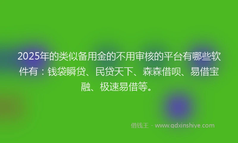 2025年的类似备用金的不用审核的平台有哪些软件有：钱袋瞬贷、民贷天下、森森借呗、易借宝融、极速易借等。