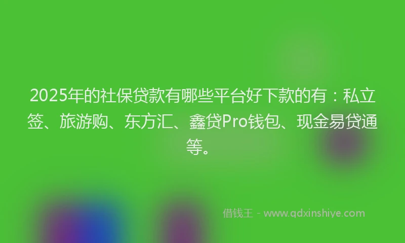 2025年的社保贷款有哪些平台好下款的有：私立签、旅游购、东方汇、鑫贷Pro钱包、现金易贷通等。