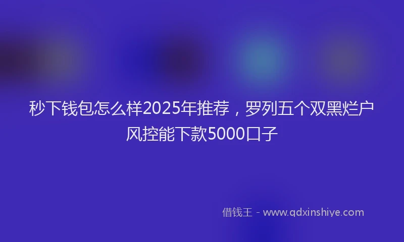 秒下钱包怎么样2025年推荐，罗列五个双黑烂户风控能下款5000口子