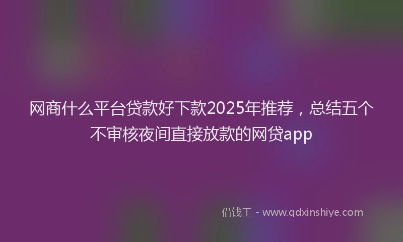 网商什么平台贷款好下款2025年推荐，总结五个不审核夜间直接放款的网贷app