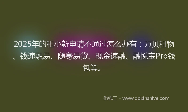 2025年的租小新申请不通过怎么办有：万贝租物、钱速融易、随身易贷、现金速融、融悦宝Pro钱包等。
