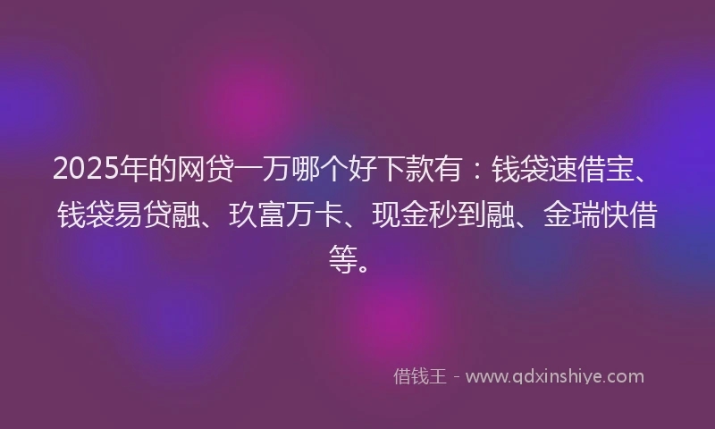 2025年的网贷一万哪个好下款有：钱袋速借宝、钱袋易贷融、玖富万卡、现金秒到融、金瑞快借等。