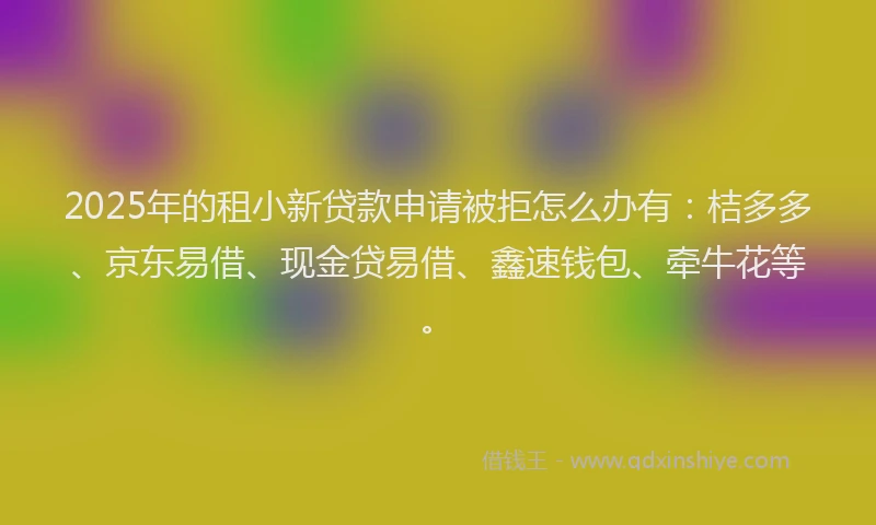 2025年的租小新贷款申请被拒怎么办有：桔多多、京东易借、现金贷易借、鑫速钱包、牵牛花等。