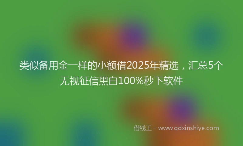 类似备用金一样的小额借2025年精选，汇总5个无视征信黑白100%秒下软件
