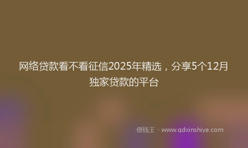 网络贷款看不看征信2025年精选，分享5个12月独家贷款的平台
