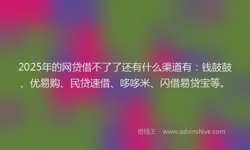 2025年的网贷借不了了还有什么渠道有：钱鼓鼓、优易购、民贷速借、哆哆米、闪借易贷宝等。