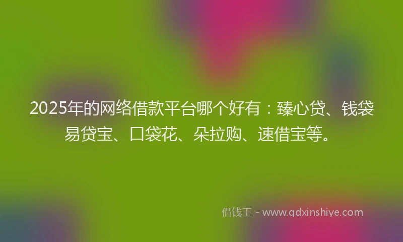 2025年的网络借款平台哪个好有：臻心贷、钱袋易贷宝、口袋花、朵拉购、速借宝等。
