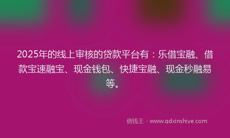 2025年的线上审核的贷款平台有：乐借宝融、借款宝速融宝、现金钱包、快捷宝融、现金秒融易等。