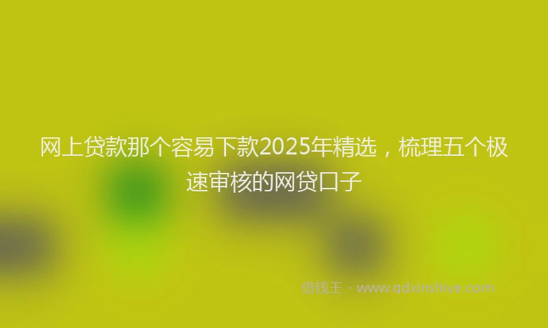 网上贷款那个容易下款2025年精选，梳理五个极速审核的网贷口子