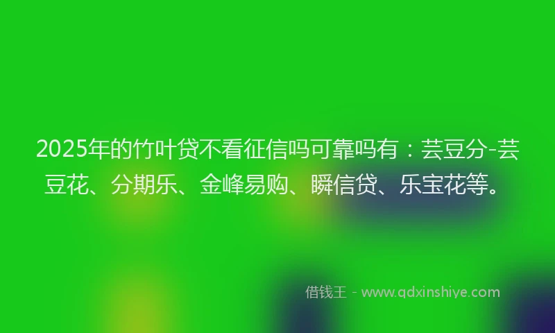 2025年的竹叶贷不看征信吗可靠吗有：芸豆分-芸豆花、分期乐、金峰易购、瞬信贷、乐宝花等。