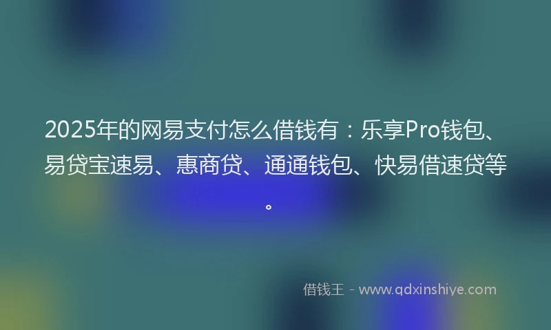 2025年的网易支付怎么借钱有：乐享Pro钱包、易贷宝速易、惠商贷、通通钱包、快易借速贷等。