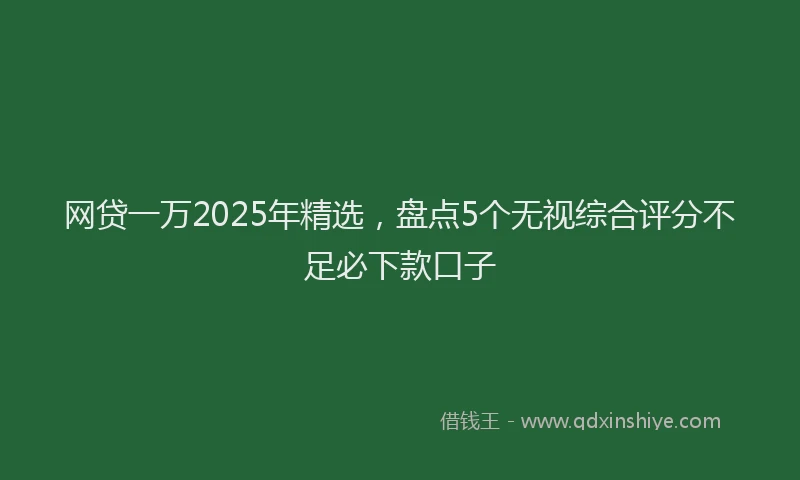 网贷一万2025年精选，盘点5个无视综合评分不足必下款口子