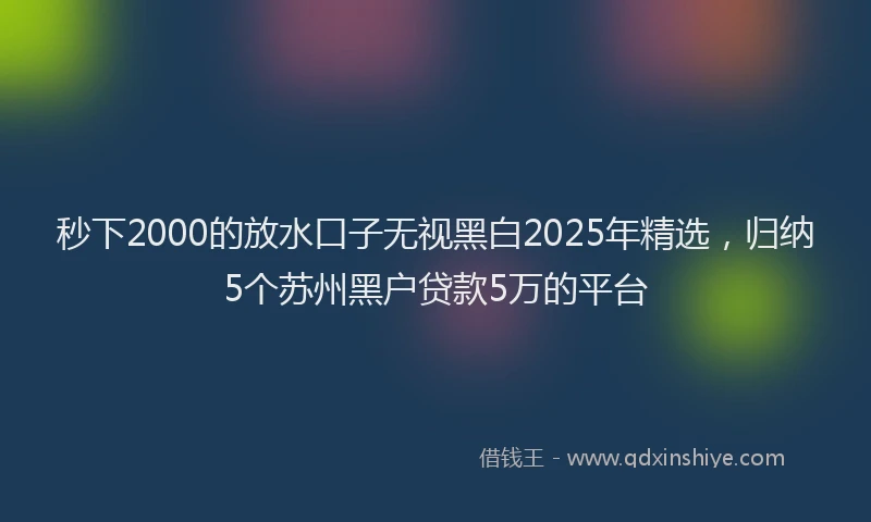 秒下2000的放水口子无视黑白2025年精选，归纳5个苏州黑户贷款5万的平台