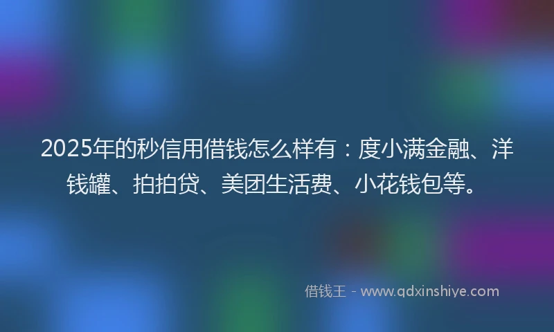 2025年的秒信用借钱怎么样有：度小满金融、洋钱罐、拍拍贷、美团生活费、小花钱包等。