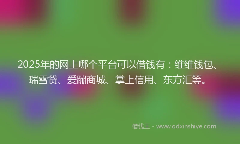 2025年的网上哪个平台可以借钱有：维维钱包、瑞雪贷、爱蹦商城、掌上信用、东方汇等。