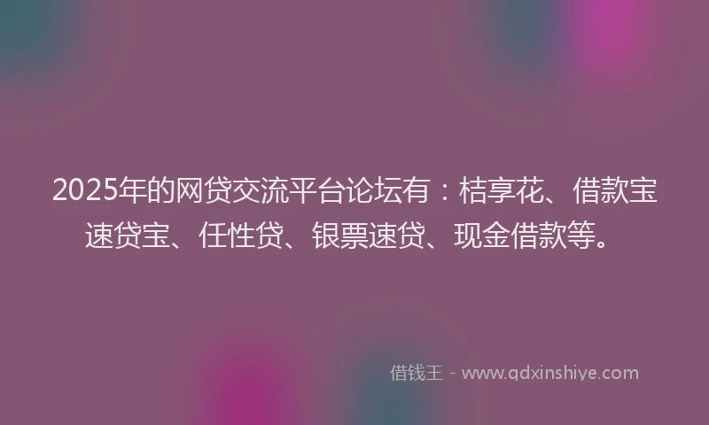 2025年的网贷交流平台论坛有：桔享花、借款宝速贷宝、任性贷、银票速贷、现金借款等。
