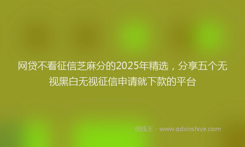 网贷不看征信芝麻分的2025年精选，分享五个无视黑白无视征信申请就下款的平台