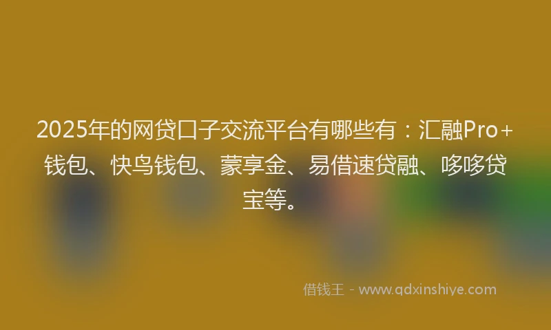 2025年的网贷口子交流平台有哪些有：汇融Pro+钱包、快鸟钱包、蒙享金、易借速贷融、哆哆贷宝等。