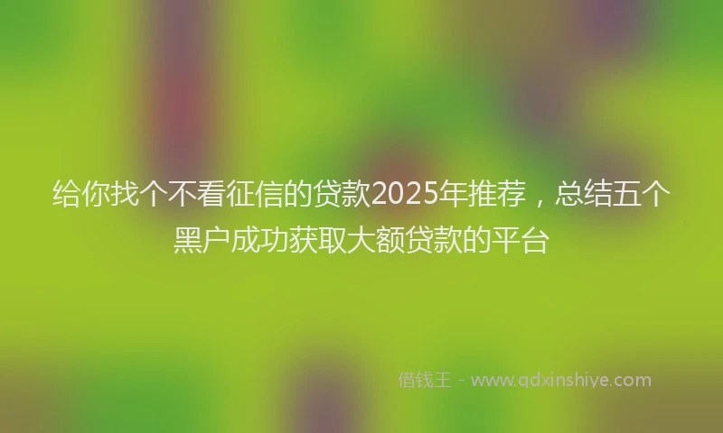 给你找个不看征信的贷款2025年推荐，总结五个黑户成功获取大额贷款的平台