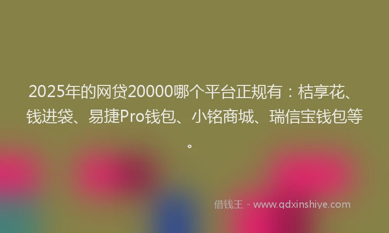 2025年的网贷20000哪个平台正规有：桔享花、钱进袋、易捷Pro钱包、小铭商城、瑞信宝钱包等。