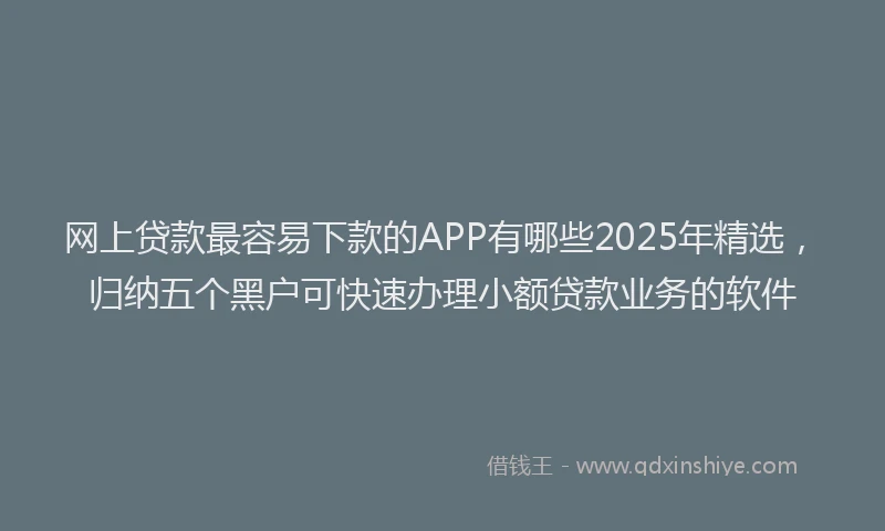 网上贷款最容易下款的APP有哪些2025年精选，归纳五个黑户可快速办理小额贷款业务的软件