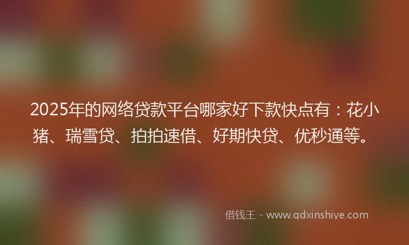2025年的网络贷款平台哪家好下款快点有：花小猪、瑞雪贷、拍拍速借、好期快贷、优秒通等。