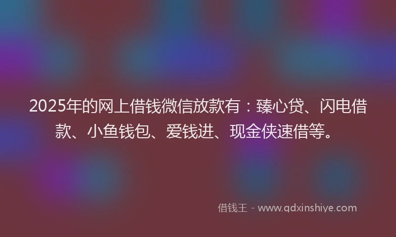 2025年的网上借钱微信放款有：臻心贷、闪电借款、小鱼钱包、爱钱进、现金侠速借等。