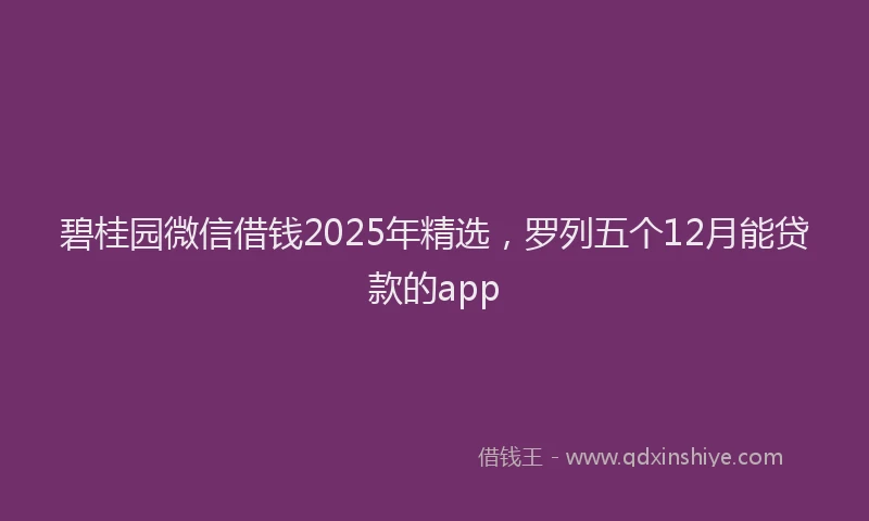碧桂园微信借钱2025年精选，罗列五个12月能贷款的app