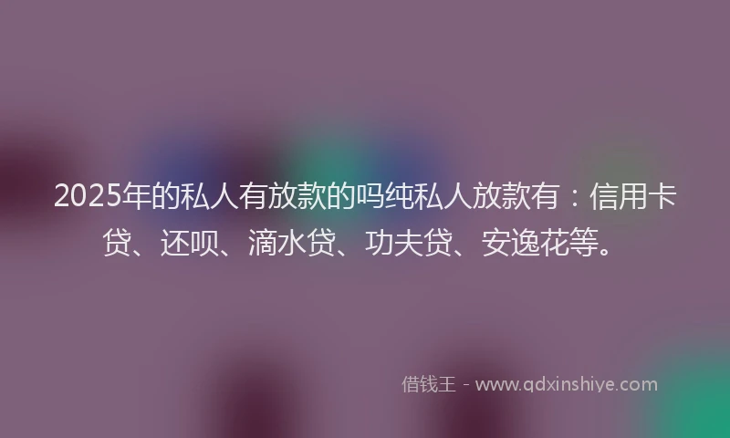 2025年的私人有放款的吗纯私人放款有：信用卡贷、还呗、滴水贷、功夫贷、安逸花等。