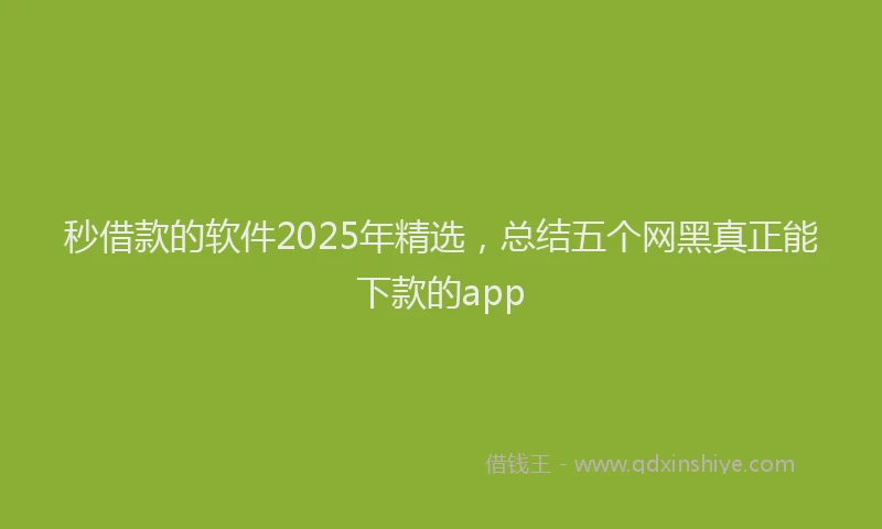 秒借款的软件2025年精选，总结五个网黑真正能下款的app