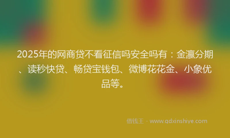2025年的网商贷不看征信吗安全吗有：金瀛分期、读秒快贷、畅贷宝钱包、微博花花金、小象优品等。
