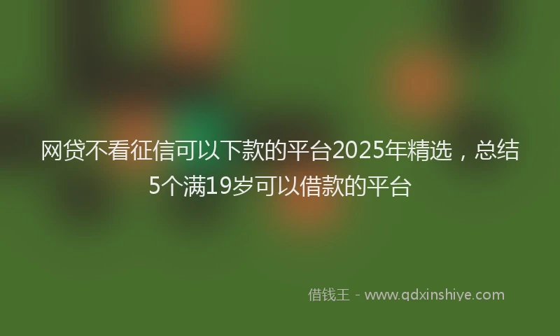 网贷不看征信可以下款的平台2025年精选，总结5个满19岁可以借款的平台