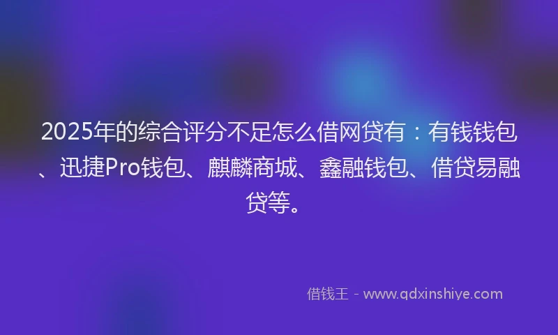 2025年的综合评分不足怎么借网贷有：有钱钱包、迅捷Pro钱包、麒麟商城、鑫融钱包、借贷易融贷等。