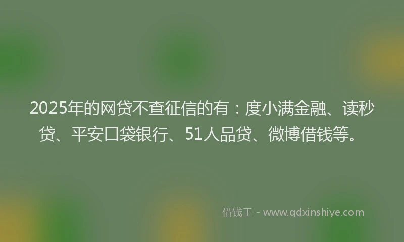 2025年的网贷不查征信的有：度小满金融、读秒贷、平安口袋银行、51人品贷、微博借钱等。