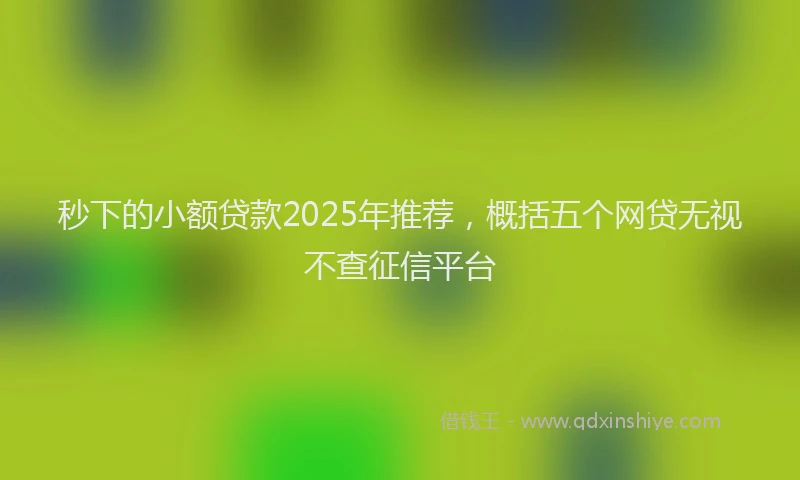 秒下的小额贷款2025年推荐，概括五个网贷无视不查征信平台