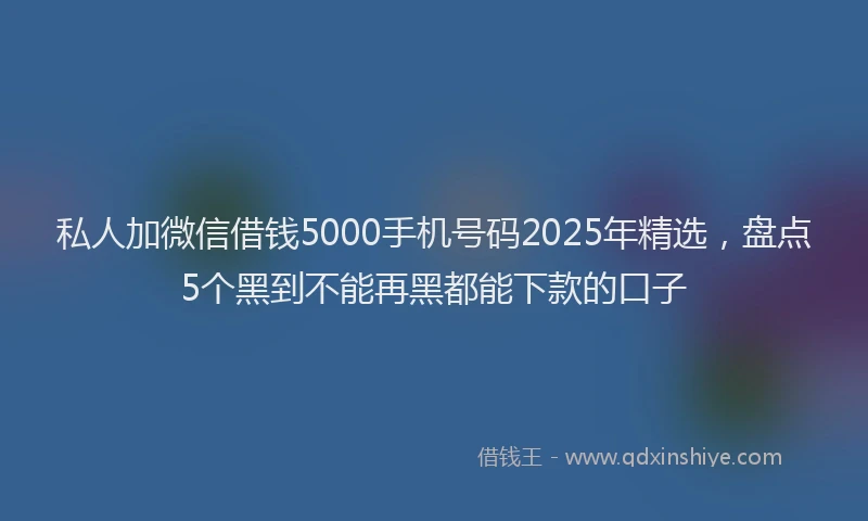 私人加微信借钱5000手机号码2025年精选，盘点5个黑到不能再黑都能下款的口子