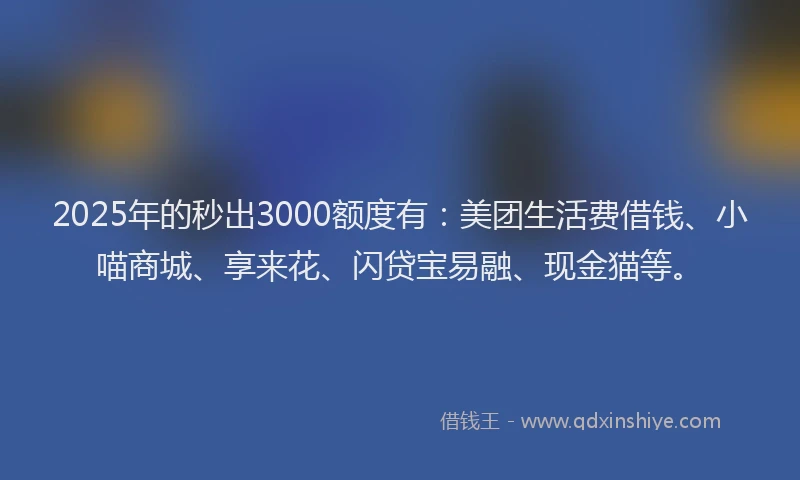 2025年的秒出3000额度有：美团生活费借钱、小喵商城、享来花、闪贷宝易融、现金猫等。