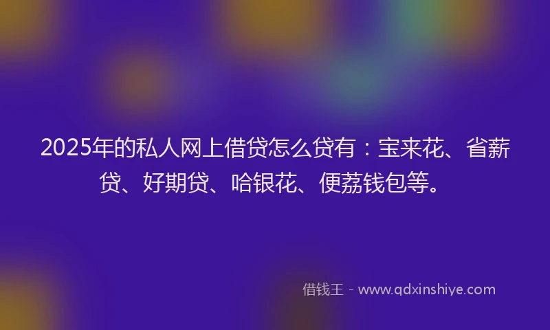 2025年的私人网上借贷怎么贷有：宝来花、省薪贷、好期贷、哈银花、便荔钱包等。