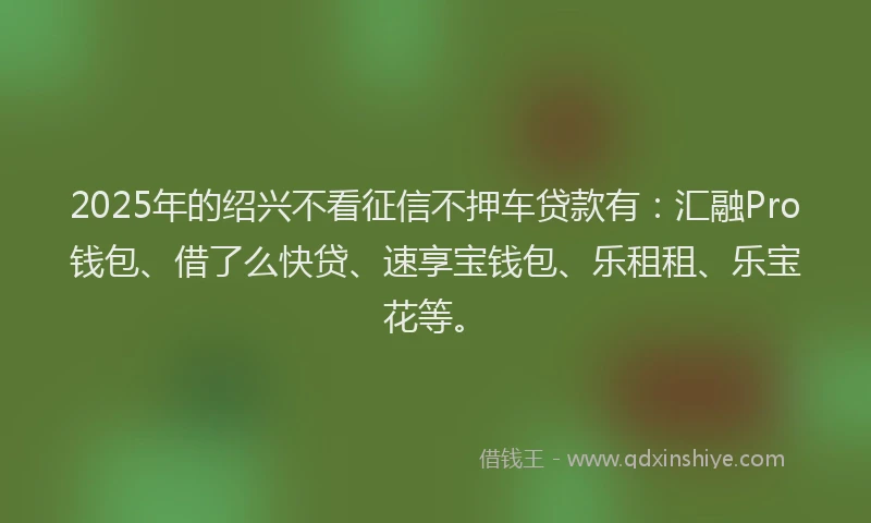 2025年的绍兴不看征信不押车贷款有：汇融Pro钱包、借了么快贷、速享宝钱包、乐租租、乐宝花等。