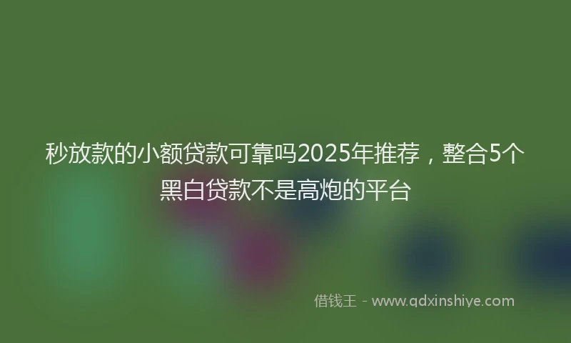 秒放款的小额贷款可靠吗2025年推荐，整合5个黑白贷款不是高炮的平台