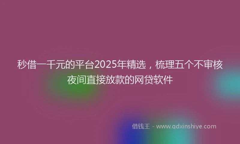 秒借一千元的平台2025年精选，梳理五个不审核夜间直接放款的网贷软件